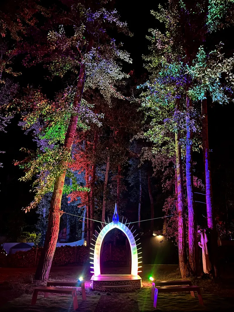 The Wild Union Arch lit up at night, the forest around it washed in colour